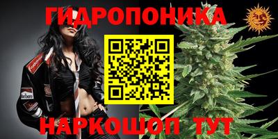 гидропоника Павлово