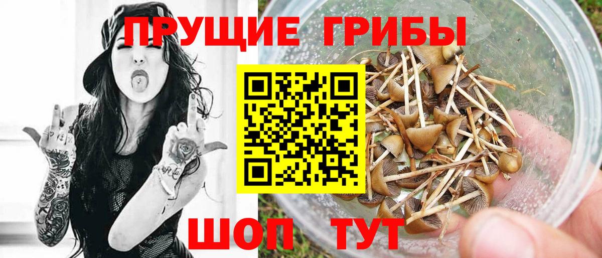 Псилоцибиновые грибы ЛСД  Галлюциногенные грибы прущие грибы  Вход с VPN  Артём 