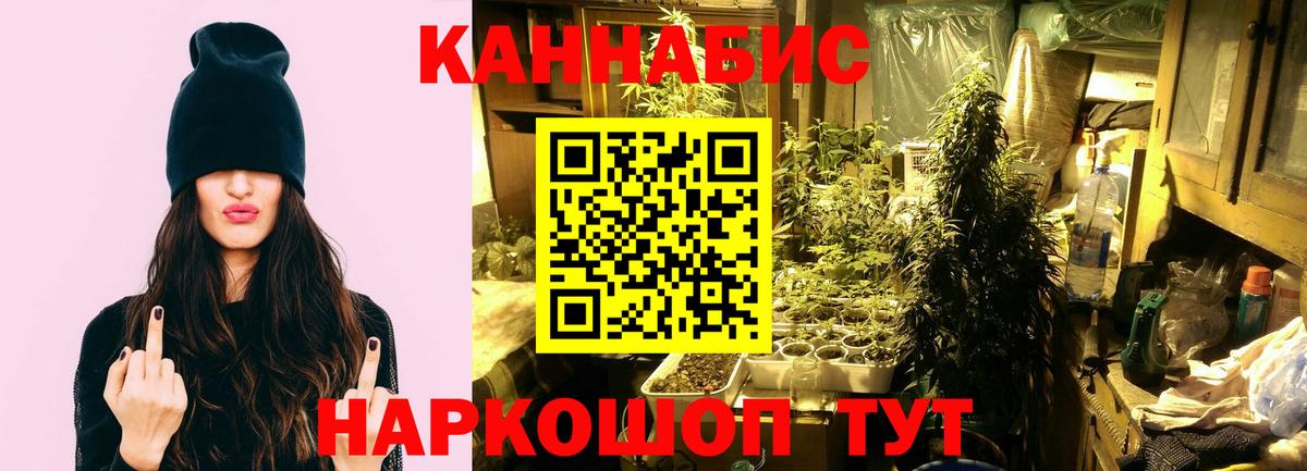Артём  Конопля AK-47  Каннабис конопля  Марихуана семена  Вход с VPN 